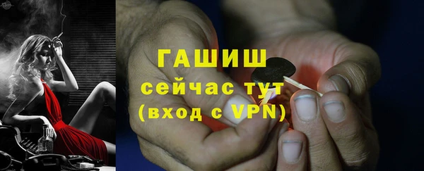 гидра Нея