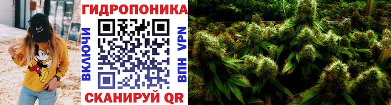Шишки марихуана Amnesia Оленегорск